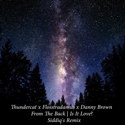 Siddiq – Thundercat, Flosstradamus & Danny Brown – From The Back [Siddiq’s Remix]