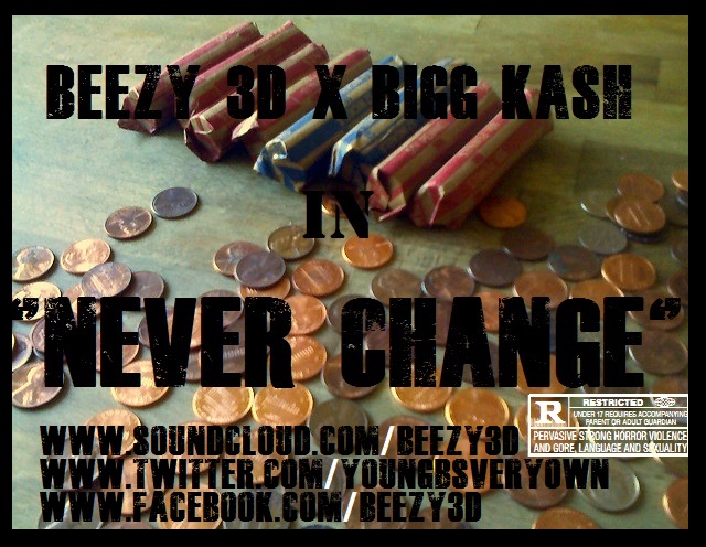 Beezy 3D x Bigg Kash – Never Change