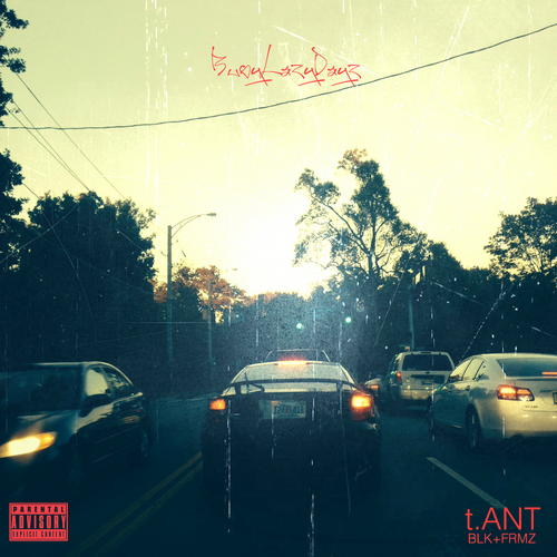 t.ANT – BusyLazyDayz