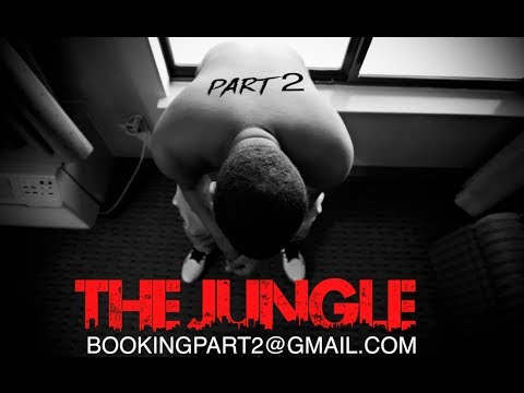 Part 2 – The Jungle