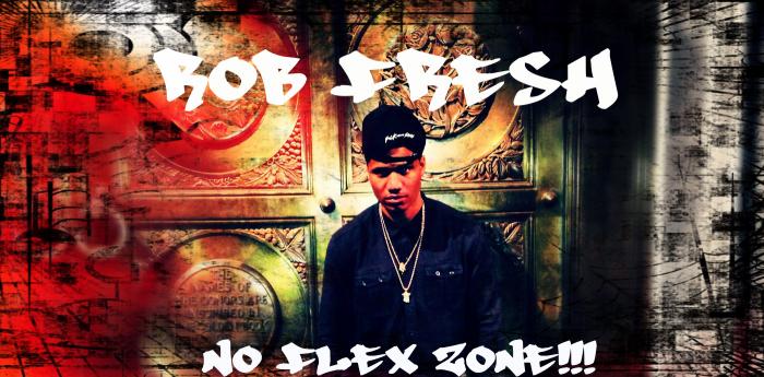 Rob Fresh – No Flex Zone (RmX)