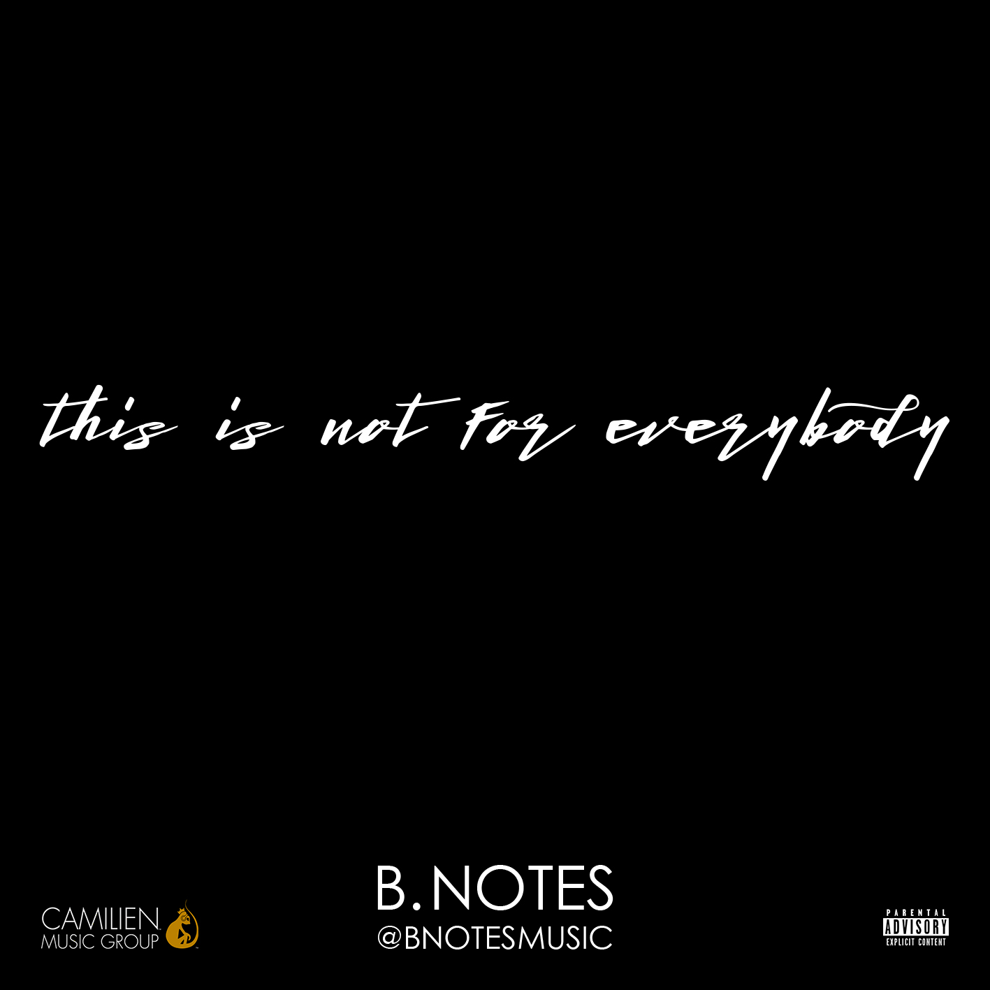B. Notes – This Is Not For Everybody