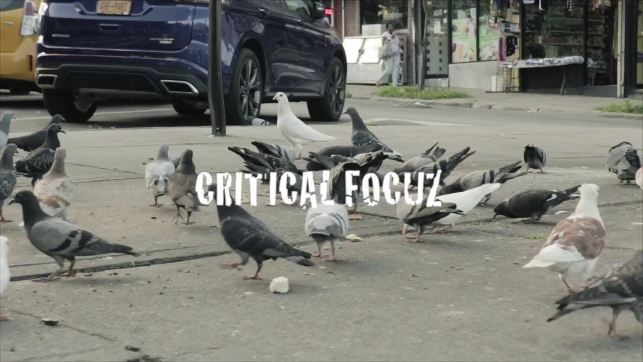 Critical Focuz Feat. Qew Lunel – Roller