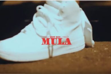 Mula