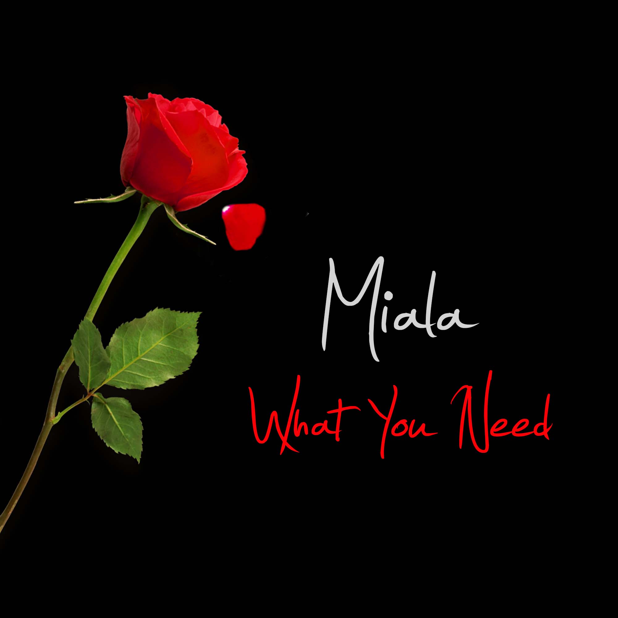 New Music: Miala – What You Need | @Therealmialado1