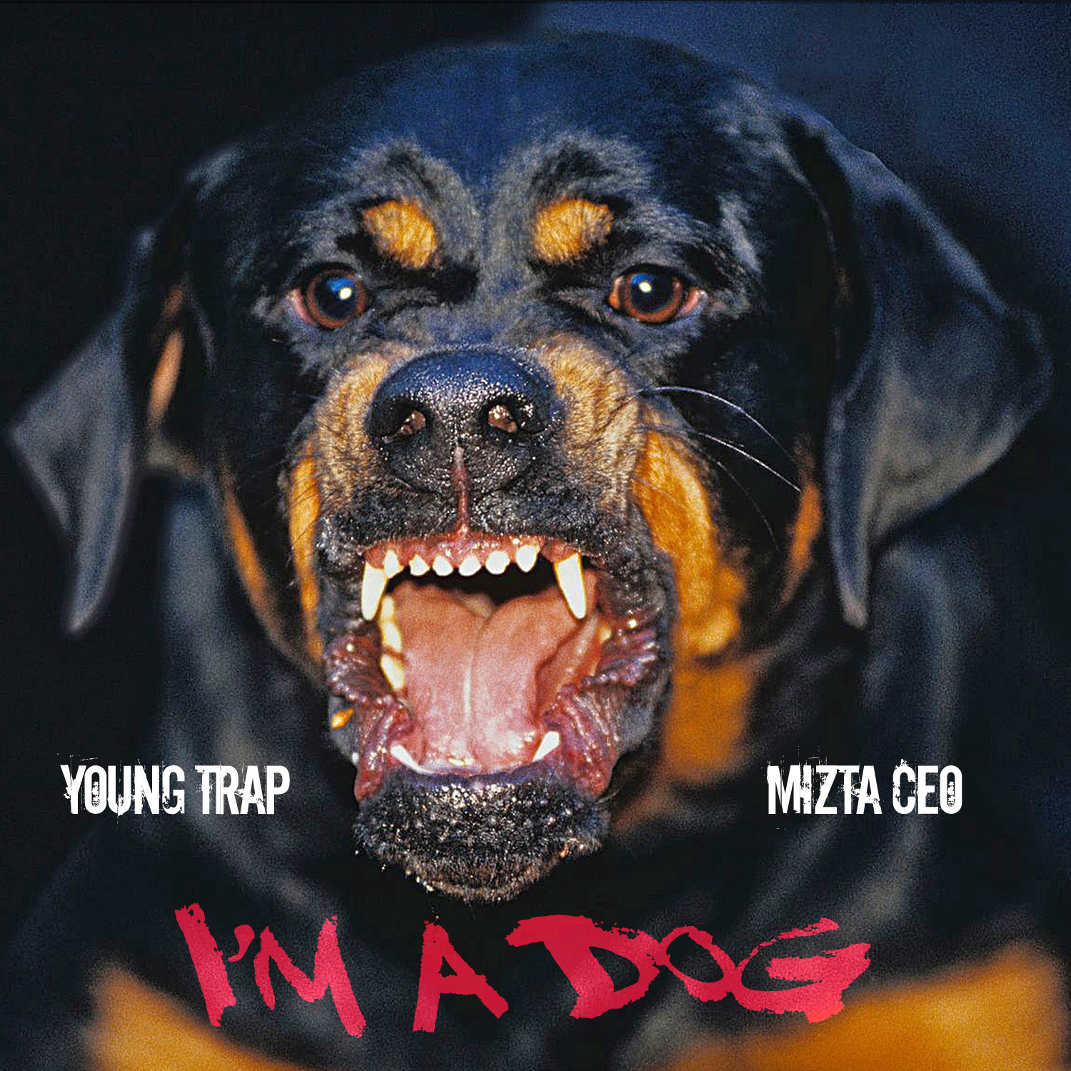 New Video: Young Trap – I’m A Dog Featuring Mizta CEO | @youngtrapmuzic